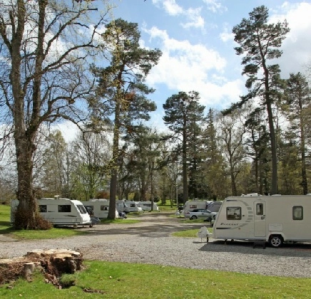 Haughton Caravan Park - zdjęcie 2