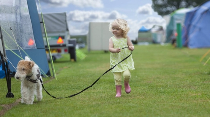 zobacz camping - zdjęcie 8