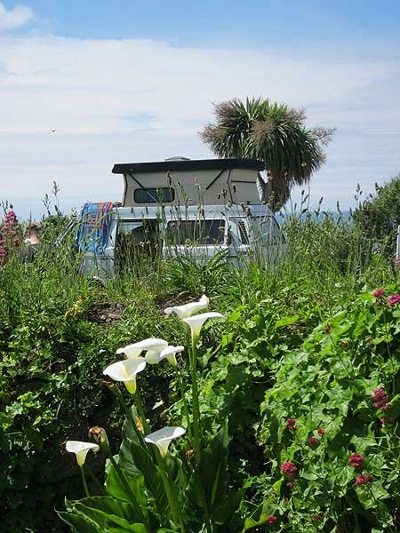 zobacz camping - zdjęcie 8