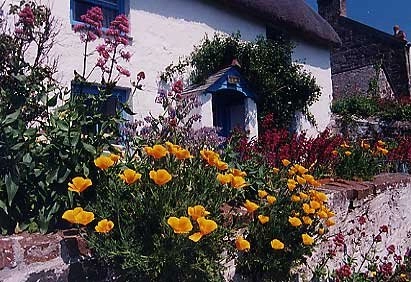 zobacz camping - zdjęcie 3