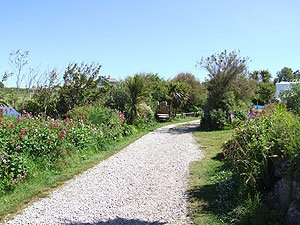 zobacz camping - zdjęcie 1