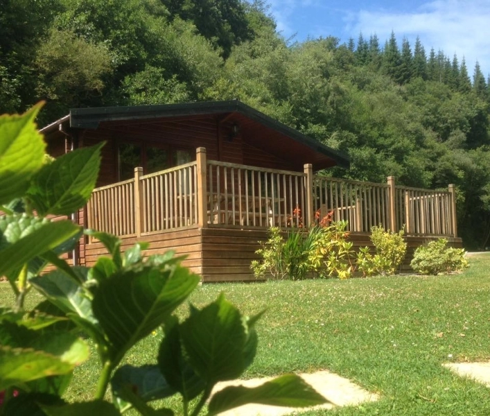 zobacz camping - zdjęcie 13