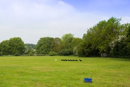 Highclere Farm Country Touring Park - zdjęcie 3