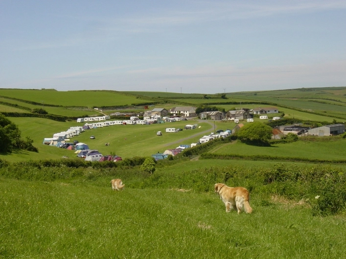 Higher Rew Touring Caravan & Camping Park - zdjęcie 4