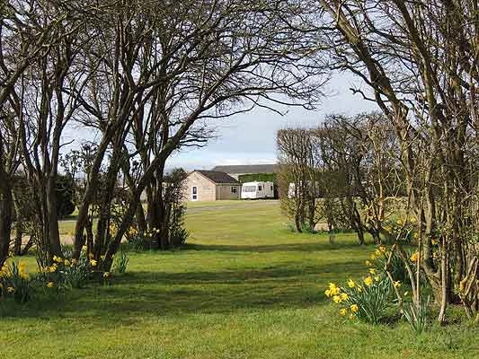 zobacz camping - zdjęcie 7