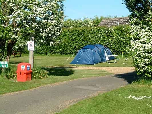 zobacz camping - zdjęcie 4