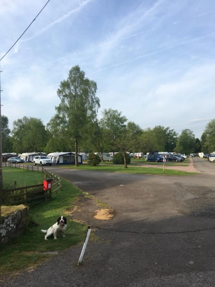 zobacz camping - zdjęcie 6