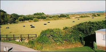 Hurst View Caravan Park - zdjęcie 3