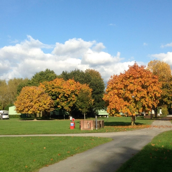 Island Meadow Caravan Park - zdjęcie 1