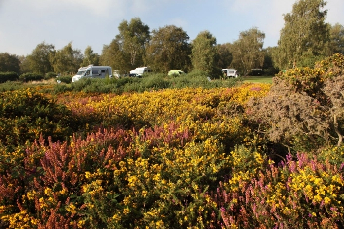 zobacz camping - zdjęcie 7