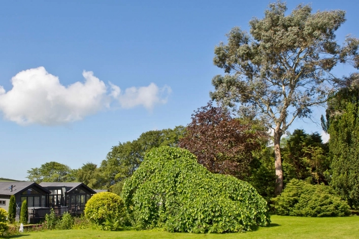 Kentisbury Grange Country Park - zdjęcie 2