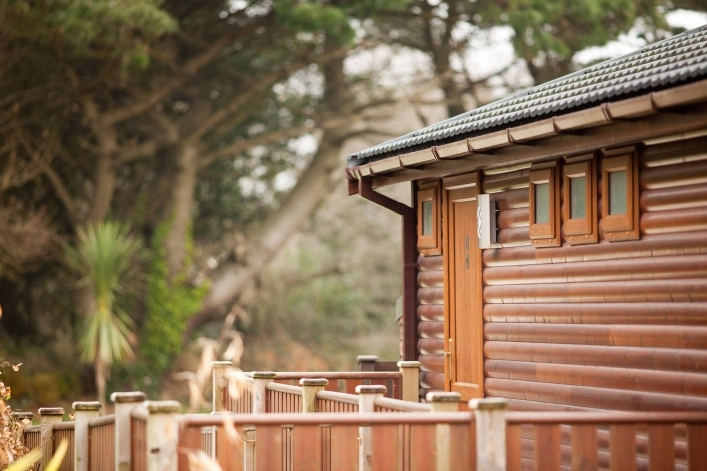 zobacz camping - zdjęcie 6