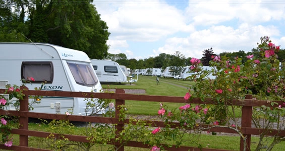 Kings Down Tail Caravan & Camping Park - zdjęcie 1