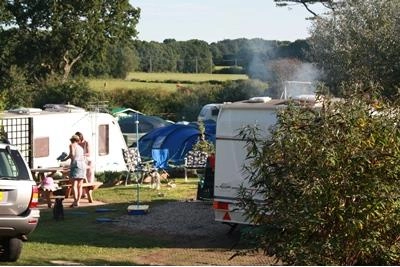 zobacz camping - zdjęcie 19