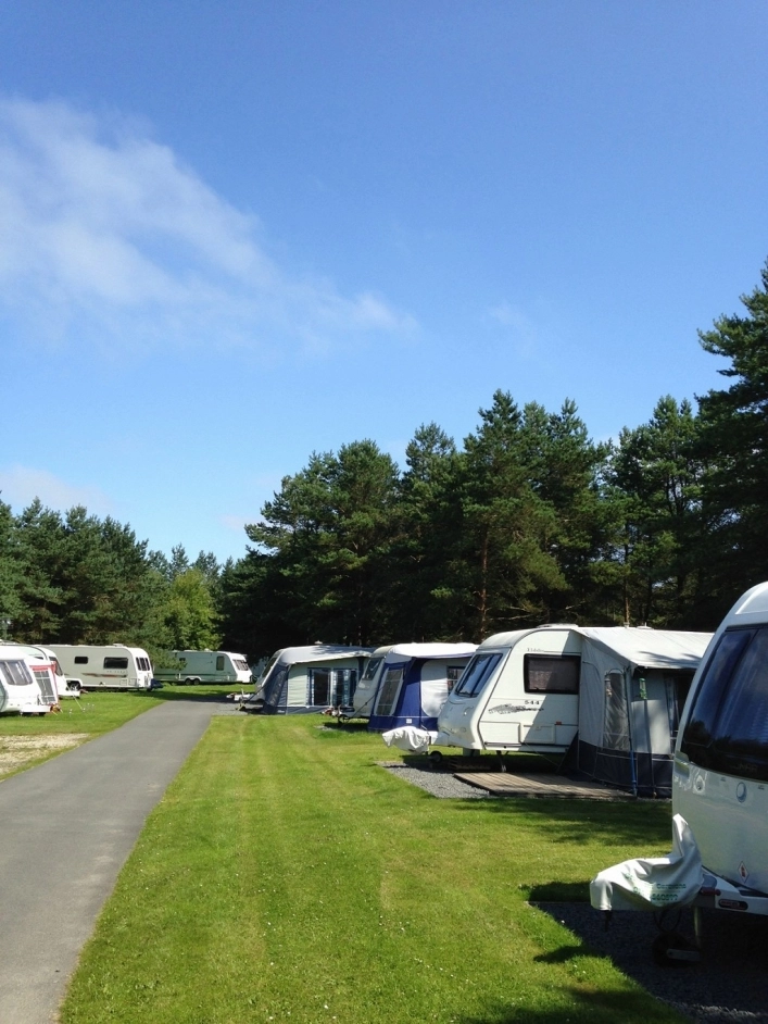 zobacz camping - zdjęcie 4