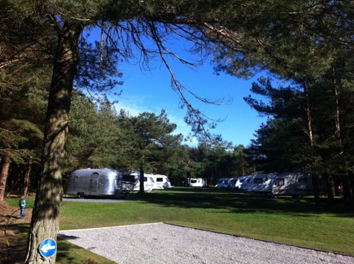 Ladycross Plantation Caravan Park - zdjęcie 2