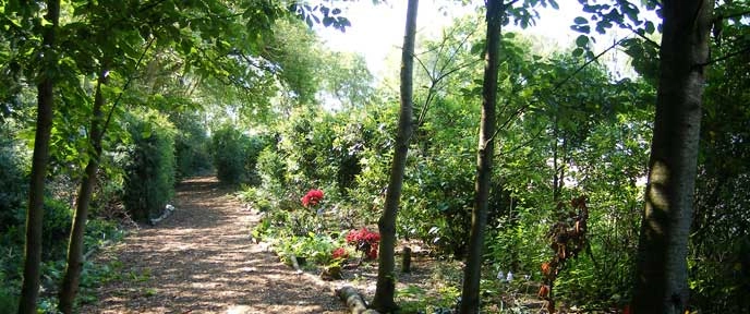 zobacz camping - zdjęcie 7