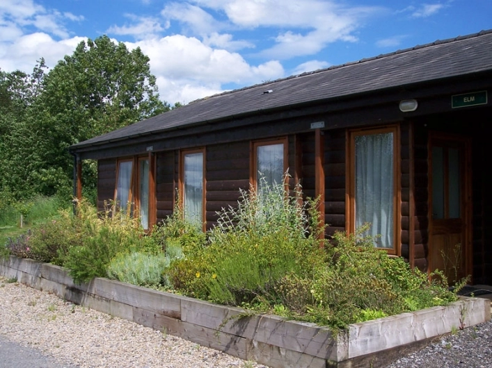 zobacz camping - zdjęcie 4