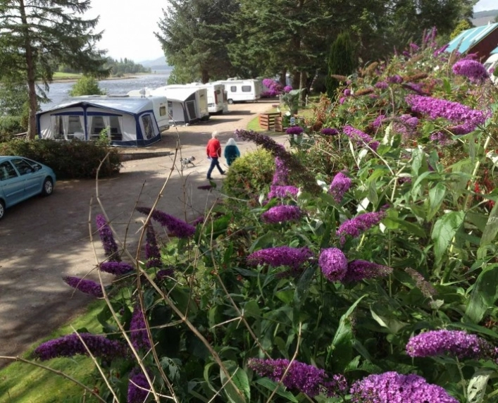 zobacz camping - zdjęcie 12