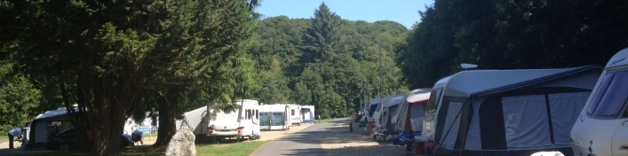 Llwyngwair Manor Holiday Park - zdjęcie 4