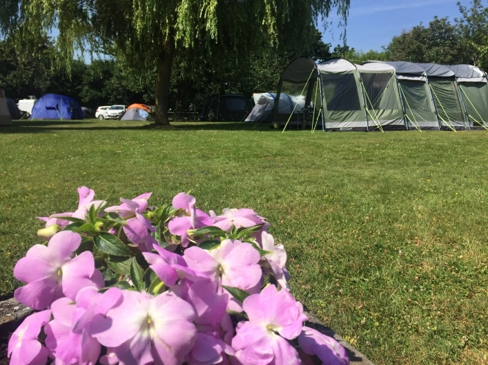 zobacz camping - zdjęcie 4