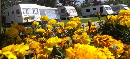 zobacz camping - zdjęcie 10