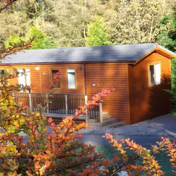 zobacz camping - zdjęcie 6