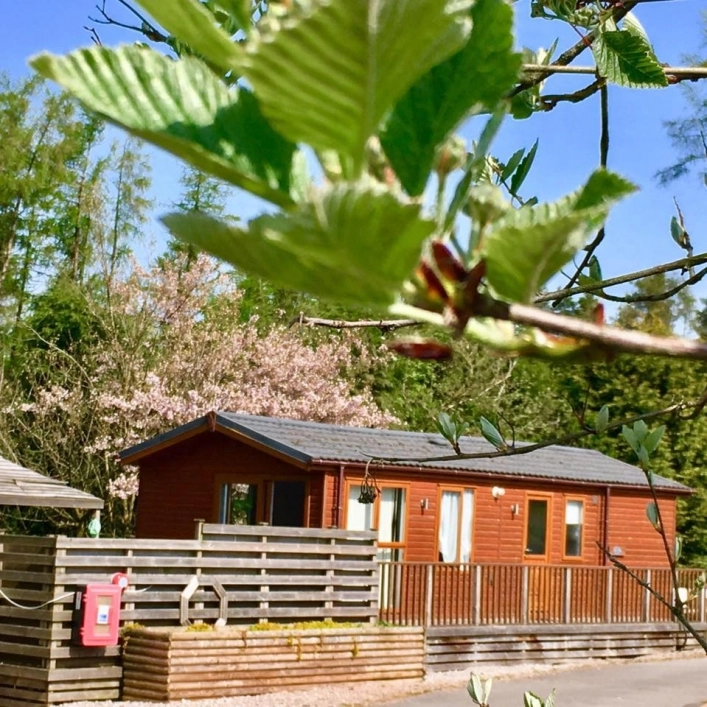 zobacz camping - zdjęcie 5