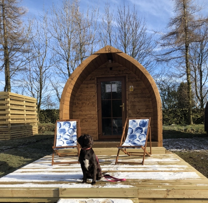 zobacz camping - zdjęcie 1