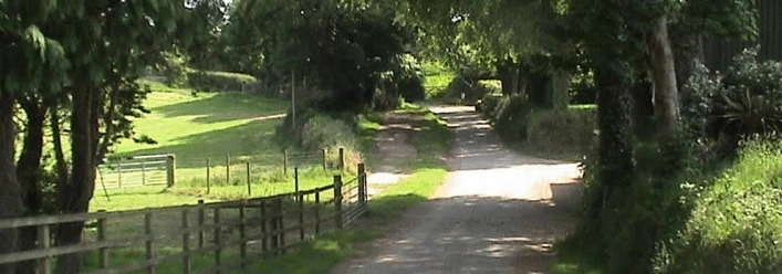 zobacz camping - zdjęcie 9