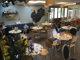 zobacz camping - zdjęcie 11