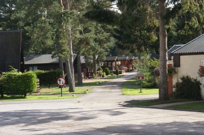 zobacz camping - zdjęcie 10