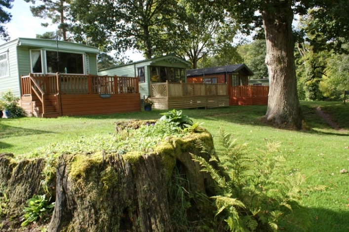 zobacz camping - zdjęcie 6