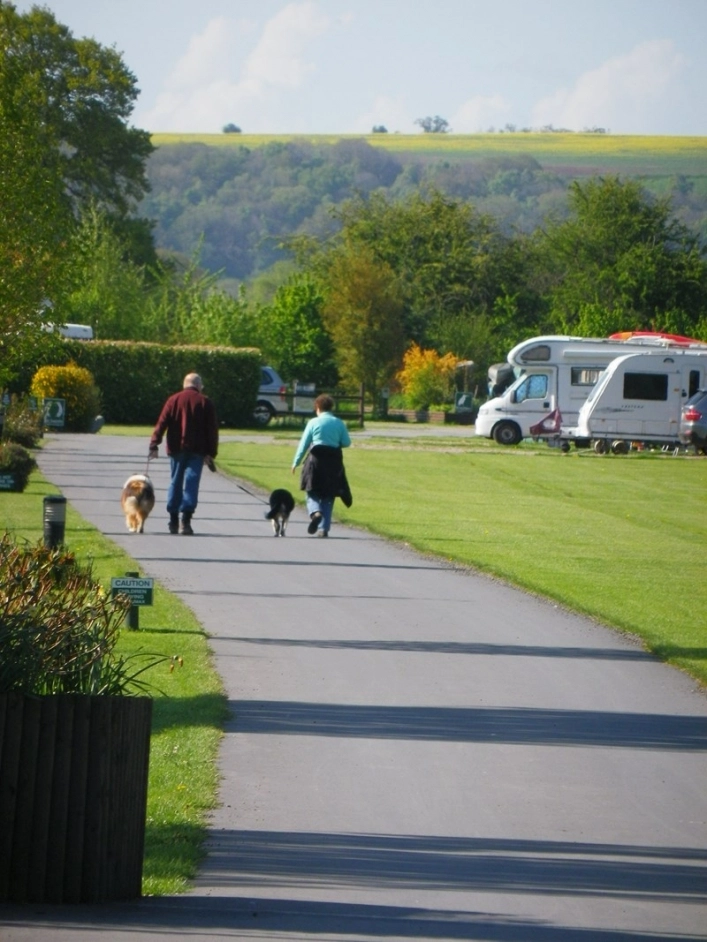 zobacz camping - zdjęcie 22