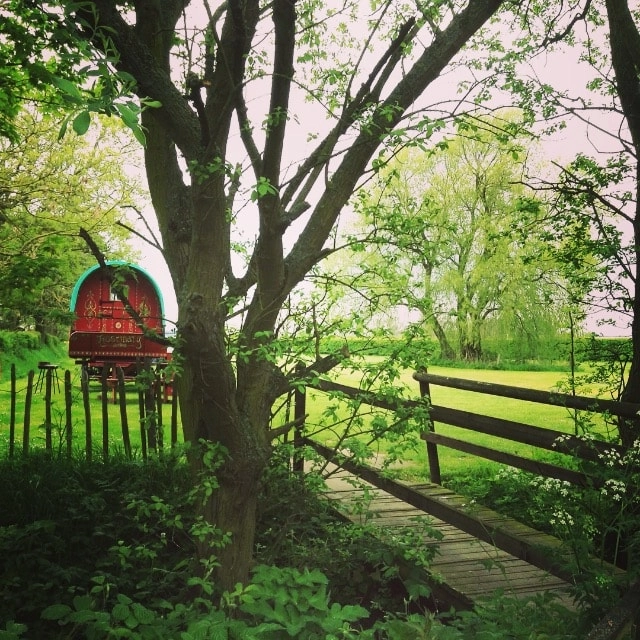 zobacz camping - zdjęcie 4