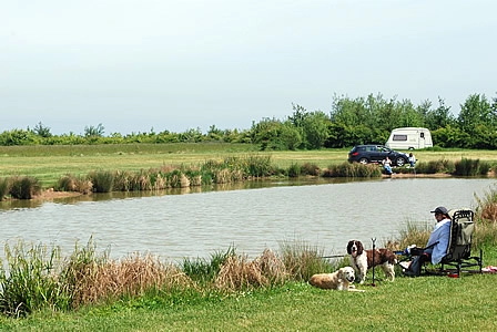 zobacz camping - zdjęcie 15