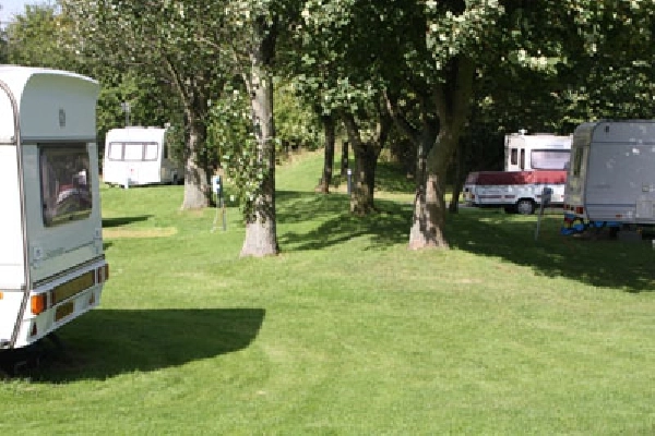 zobacz camping - zdjęcie 5