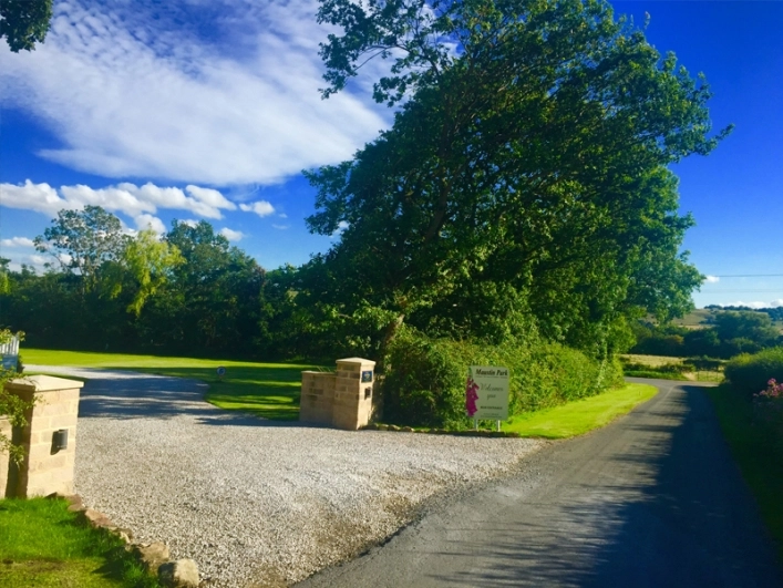 zobacz camping - zdjęcie 8