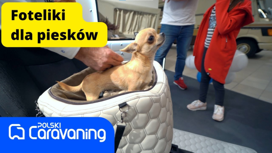 Kamper dla psa