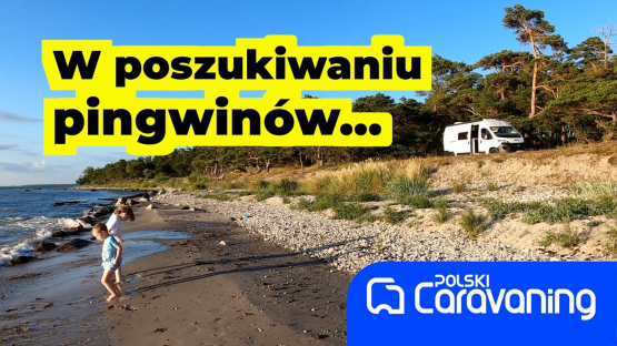 W poszukiwaniu pingwinów, czyli Szwecja z Polferries.