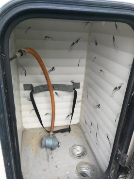                         Przyczepa Kempingowa, kemping Burstner Club 3853 - zdjęcie 5
                        