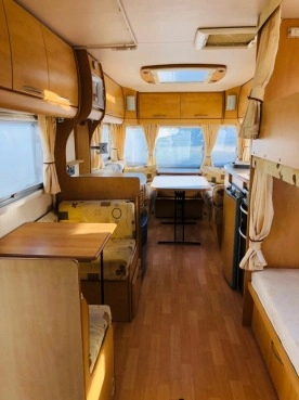                         BAILEY SEANTOR CAROLINA + MOVER - zdjęcie 7
                        