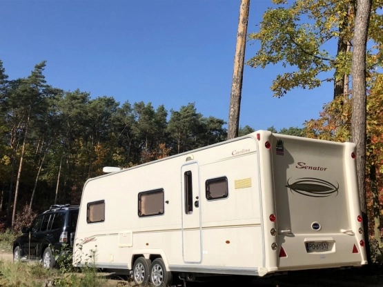                         BAILEY SEANTOR CAROLINA + MOVER - zdjęcie 8
                        