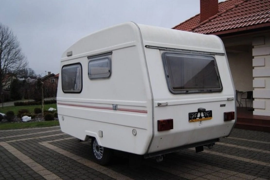                         NIEWIADÓW N126N Sprowadzona z Dani Wnętrze do aranżacji Ładna skorupa - zdjęcie 6
                        