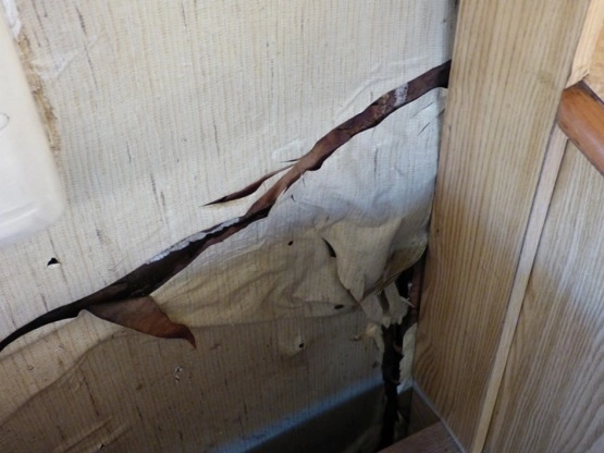                         Peugeot J5 EURO MOBIL 2.5 D - zdjęcie 7
                        