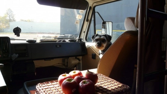                         Volkswagen LT 28D Karmann Distance Wide - zdjęcie 51
                        