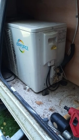                         Wilk Safari - zdjęcie 4
                        