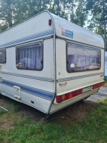                         Wilk De Lux - zdjęcie 1
                        