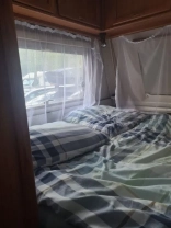                         Wilk De Lux - zdjęcie 9
                        