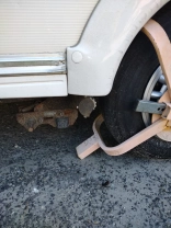                         Bailey Ranger - zdjęcie 3
                        